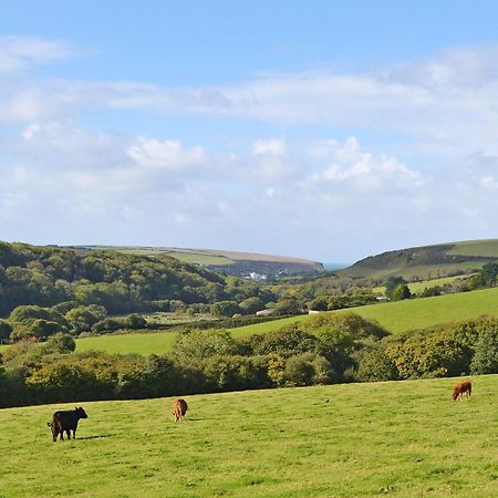 Merlin View St Mawgan Exterior photo