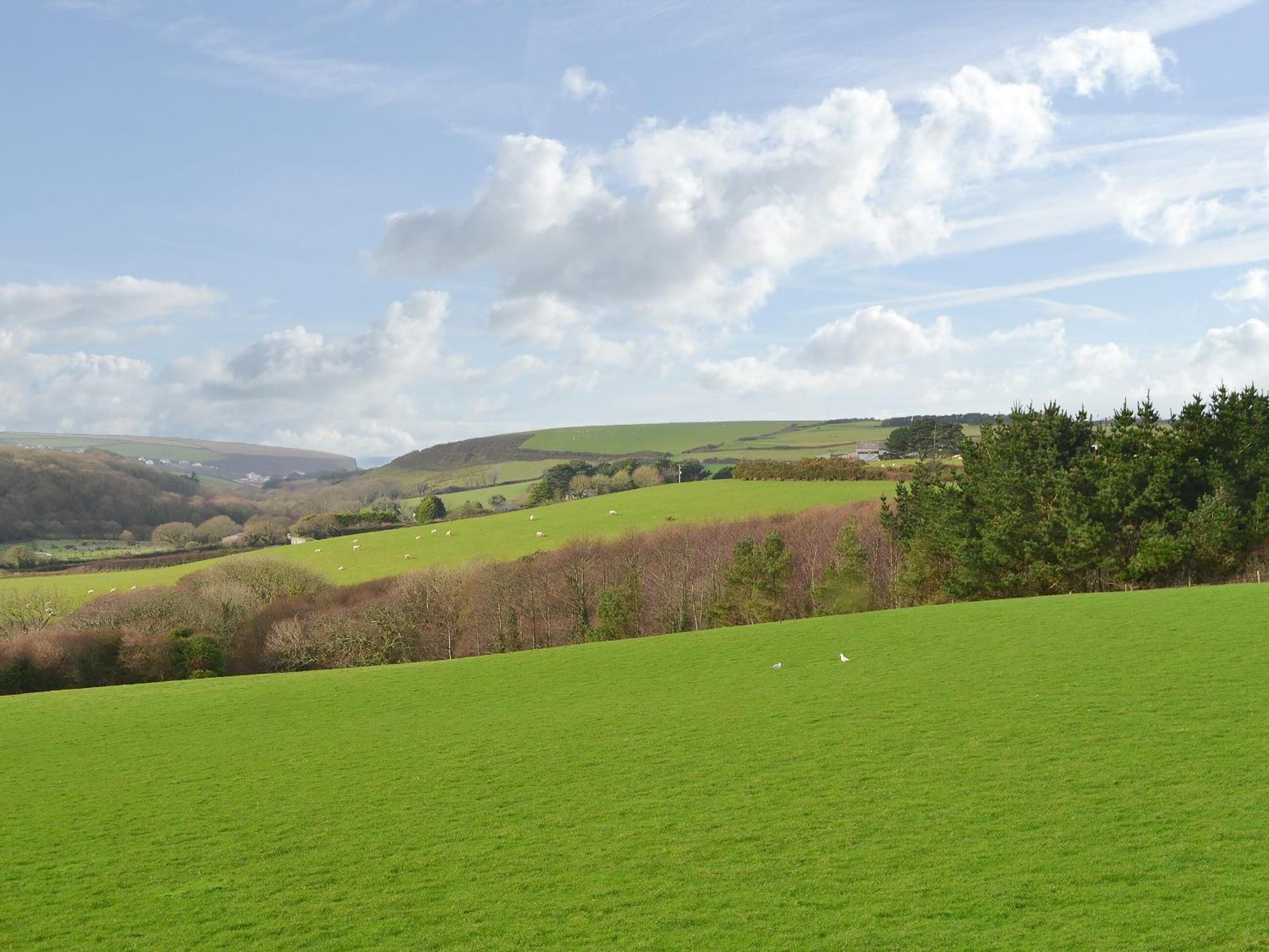 Merlin View St Mawgan Exterior photo