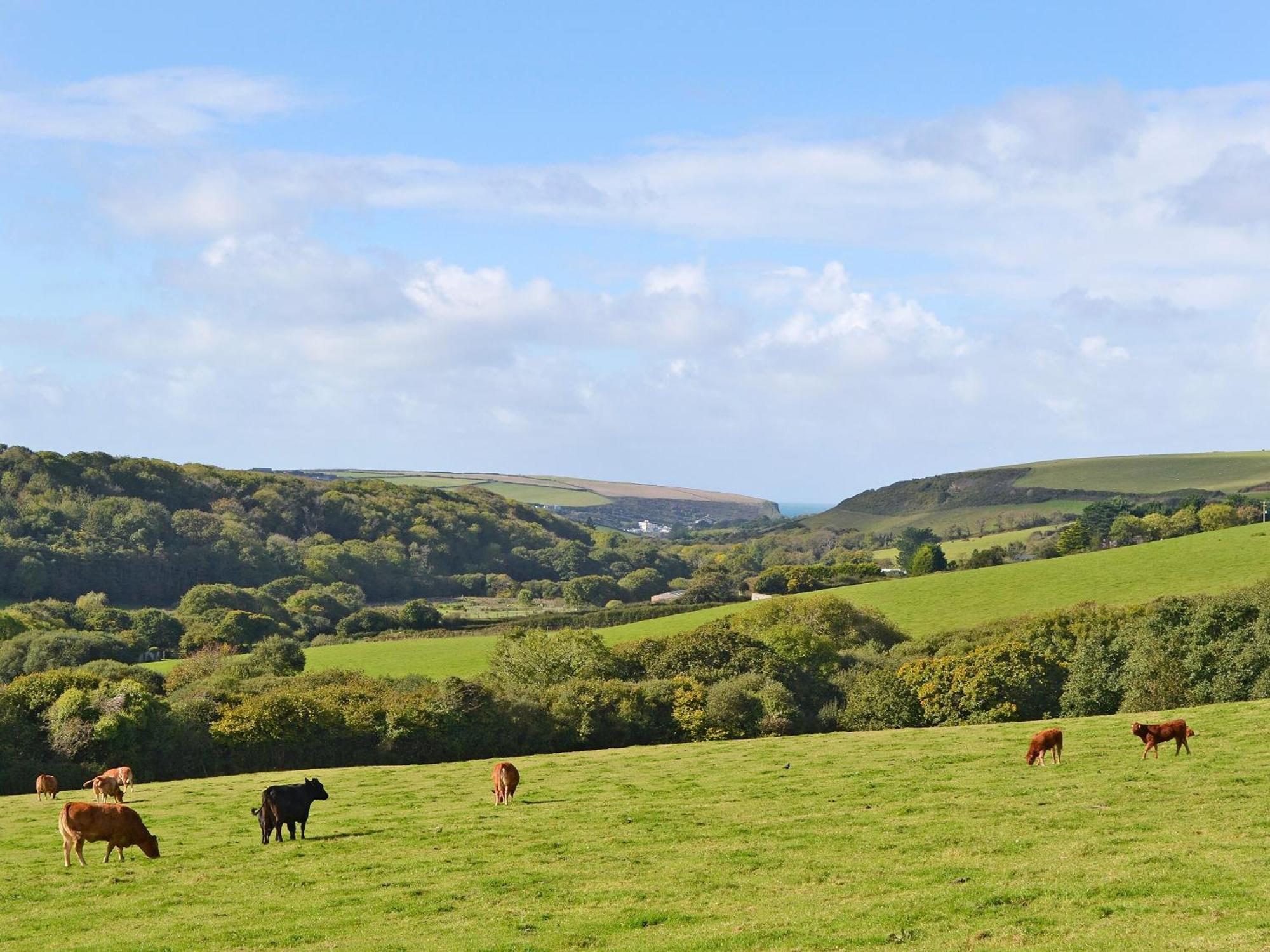 Merlin View St Mawgan Exterior photo